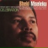 Bheki Mseleku