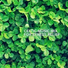 Zen Soothing Sounds of Nature