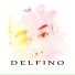Delfino