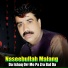 Naseebullah Malang