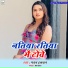 Pawan Halchal