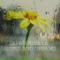 Ambient Rain