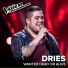 Dries De Vleminck
