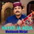 Mehboob Mirjat