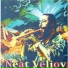 Neat Veliov, Kocani orkestar