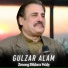 Gulzar Alam