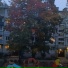 TwilightRaze