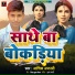 Ashik Ajanbi