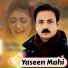 Yaseen Mahi