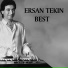 Ersan Tekin