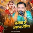 Shashi Anari