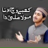 Tayyab Tahir Hameed Sialvi