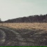 H. Stoll