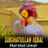 Sibghatullah Iqbal