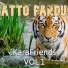 Gatto Pardus