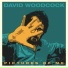 David Woodcock