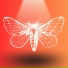 Berek