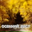 Сергей Грищук