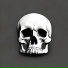 SMXKYDOG, VERSONER
