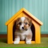 Guitar Warriors, Pet Dreams, Music for Pets Luxury