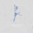 Geographer