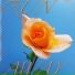 SVET