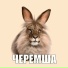 Свидетели Константиновича
