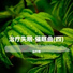 治疗师