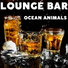 Ocean Animals