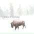I Spell It Nature