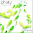 Photy