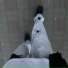 oondisess