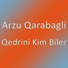 Arzu Qarabagli
