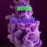 TIYFER