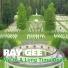 Ray Gee