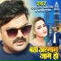 Pawan Singh, Mamta Raut