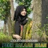 Peer Salaar Shah