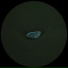Divide, Oisel