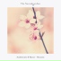 Audiotones, Ranta