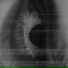 Time Loop Anomaly