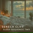 Seneca Cliff