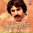 Ferdi Tayfur