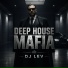 DJ LEV