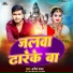 Anish Yadav