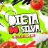 DJ CZ, Silva MC