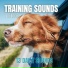 We Make Sounds
