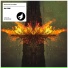 Biggoose, DzenB