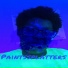 SS: Thepainter