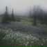 newhefner