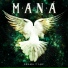 Maná